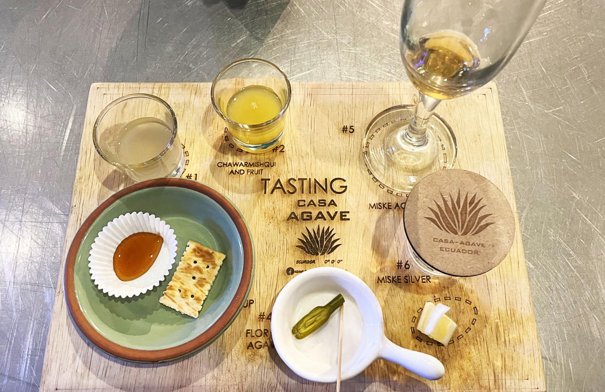 AGAVE SPIRIT ECUADOR. (Jonathan Parlee)