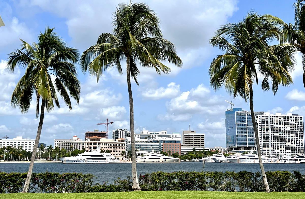 Palm trees and yachts in The Palm Beaches. (Pax Global Media) 