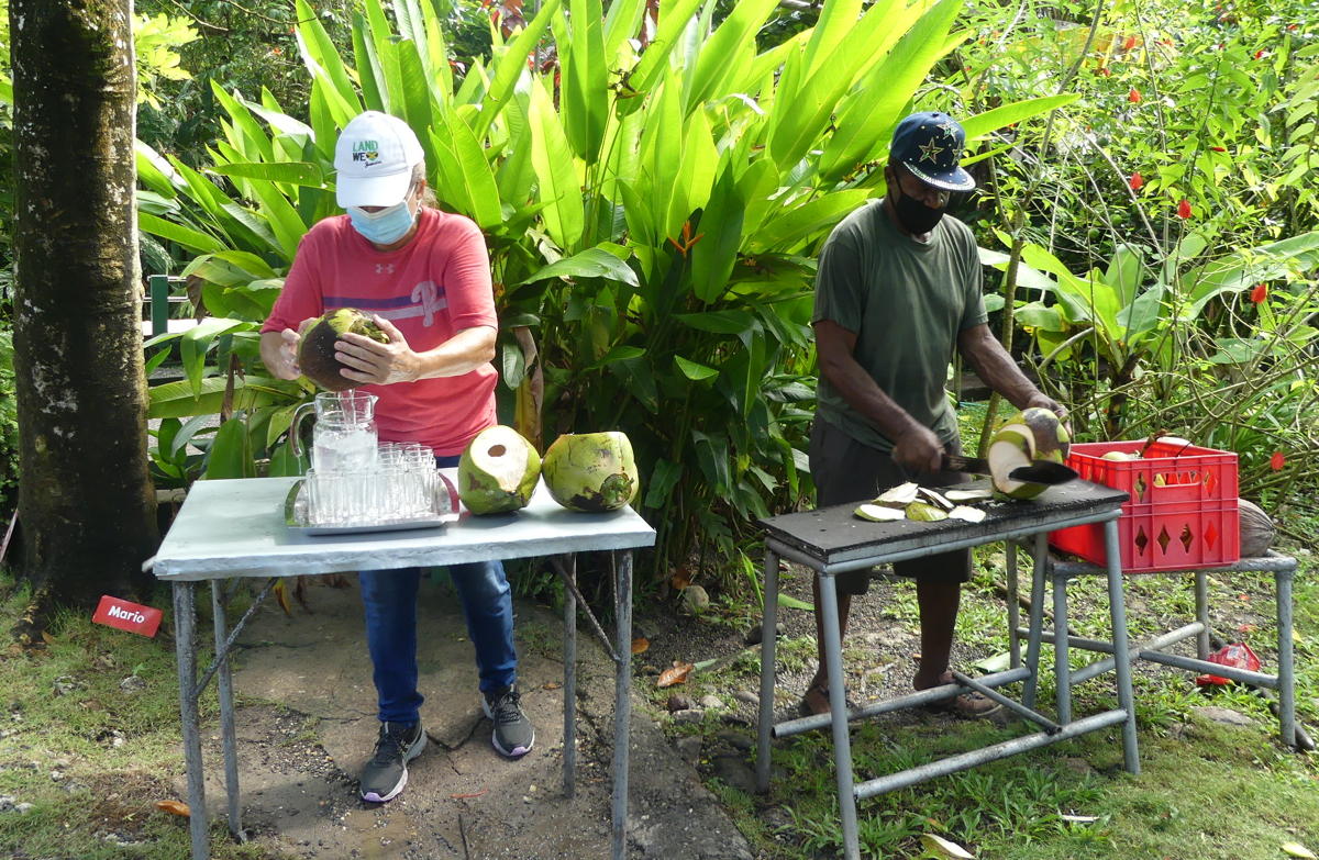 Fresh coconut water served at Sun Valley Plantation. (Pax Global Media) 