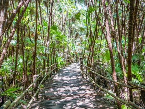 Hilton announces its first property in Belize