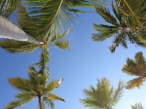 Sunquest unveils trip giveaway contest