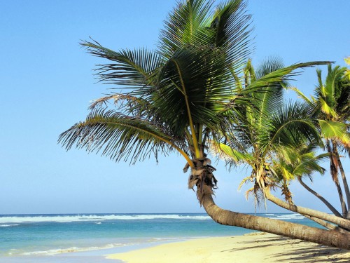 Sunwing's 50% off sale ends this week