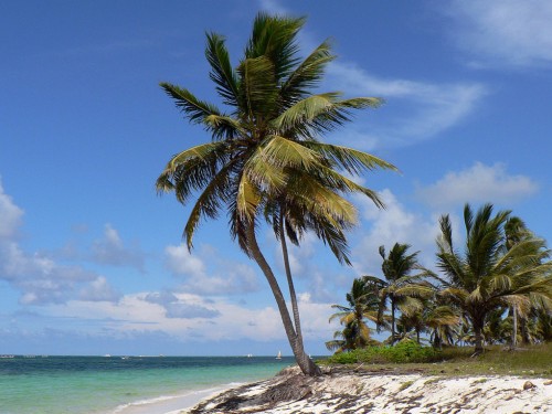 Sunwing launches Waterloo-Punta Cana service