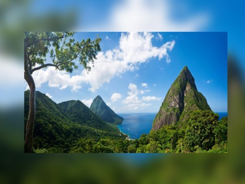 Saint Lucia's agent promotions are a SLAM