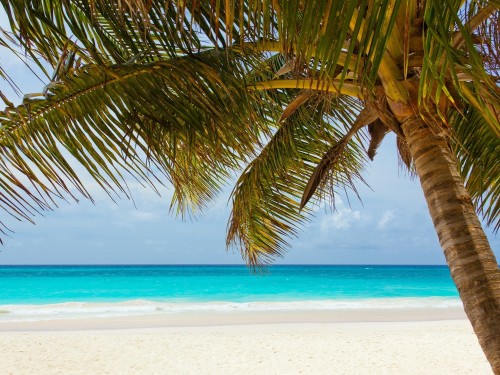 Sunwing's Beach Blowout is on