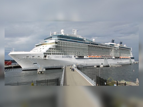 Celebrity updates agent training program