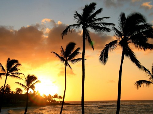 Trafalgar says aloha to 2017 Hawaii program