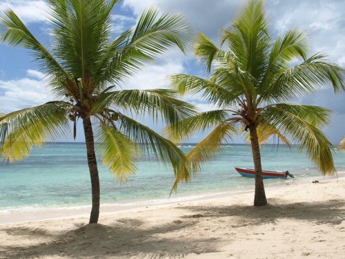 JTB announces product update schedule