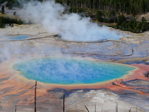 Globus, Cosmos launch 2017 North America tours