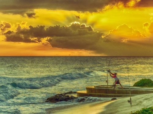 The 2016 Holiday Snapshots contest: we have a winner!