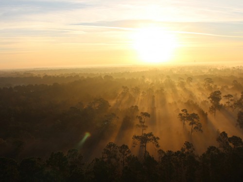 Luxury and value, just south of Orlando, in Kissimmee, FLA
