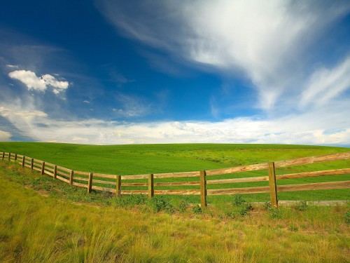 Is the grass looking greener elsewhere?