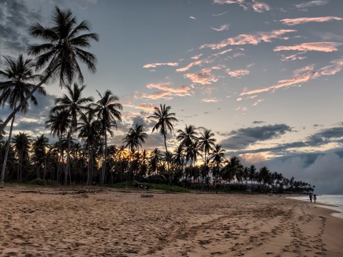 Sunwing brings back its Black Friday sale