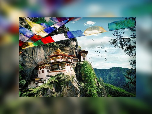 Exodus' 2017 brochures now available