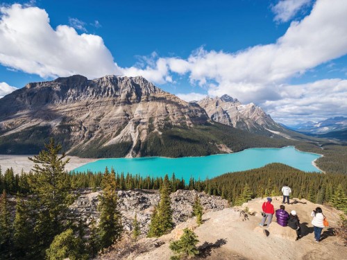 Geckos explores North America, goes on safari for 2017