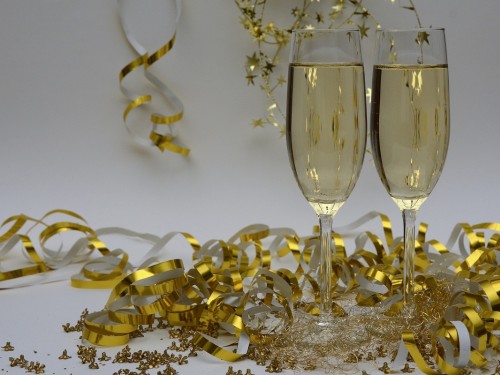 2017: Cruising, primate encounters among top forecasted trends