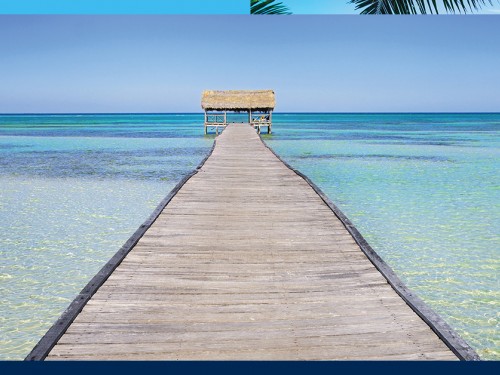 Air Transat inaugurates four new flights for winter season