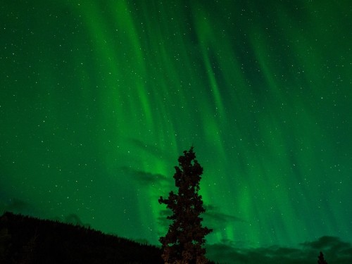 On The Go adds four new land tours of Greenland