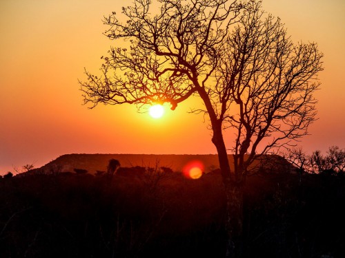 Ethiopian Airlines to begin flights to Antananarivo