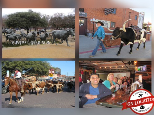 Dallas Fort Worth showcases cowboys, culture and much more
