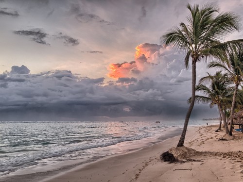 Select Air Transat flights to sell excursions onboard