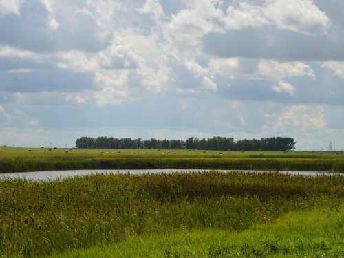 Anderson Vacations highlights Saskatchewan itineraries