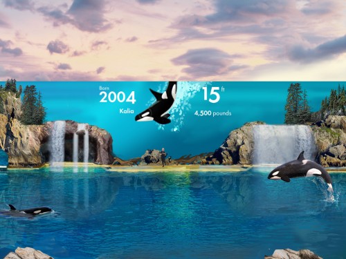 Canadian pricing makes a splash at SeaWorld