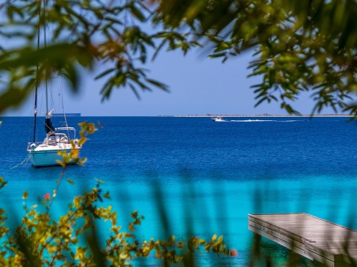 Sunwing's Toronto-Bonaire flight launches in December