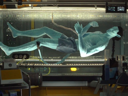 [EXCLUSIVE VIDEO] #PAXORAMA explores Pandora - The World of Avatar