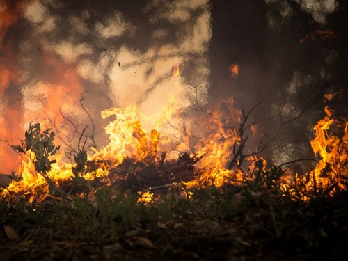 French wildfires spread to tourist areas