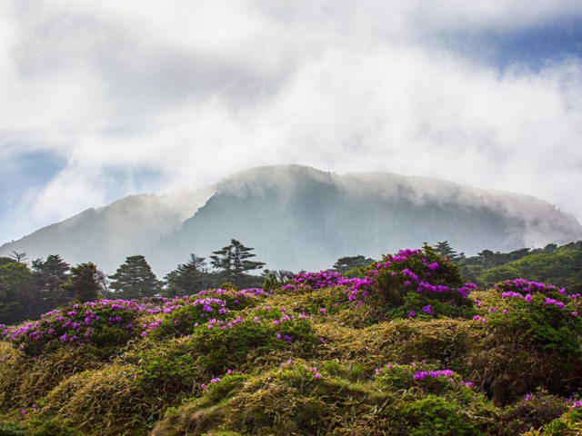 Four Seasons bringing luxury resort to Korea's Jeju Island