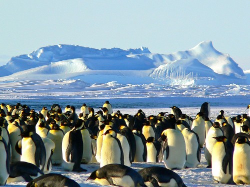 Intrepid acquires 50% stake in Chimu Adventures