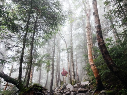 Canadians want more adventure, less screen time