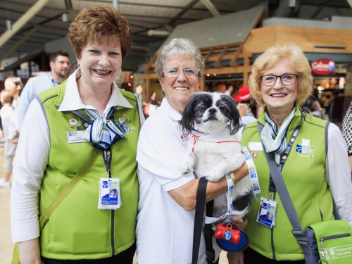 YVR em-barks on therapy dog program