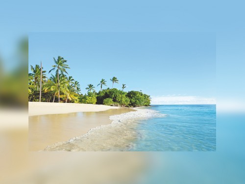 ACV invites agents to fall MegaFAMs