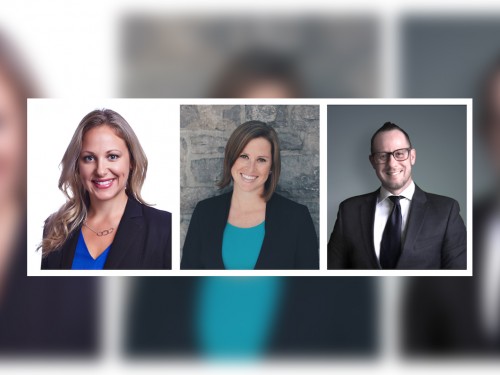 Vision adds 3 sales executives