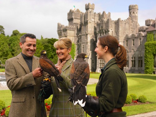 Exclusive experiences abound with Luxury Gold