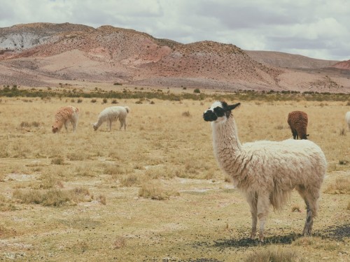 Goway reveals 2018 Central and South America planner