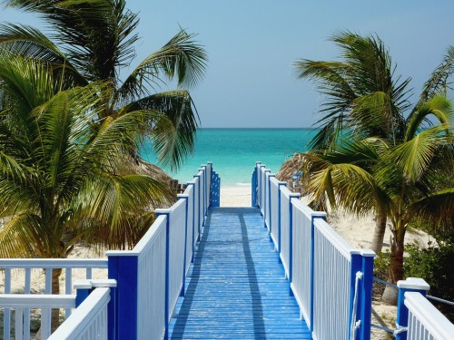 CTO: growth for Barbados, agent bookings up