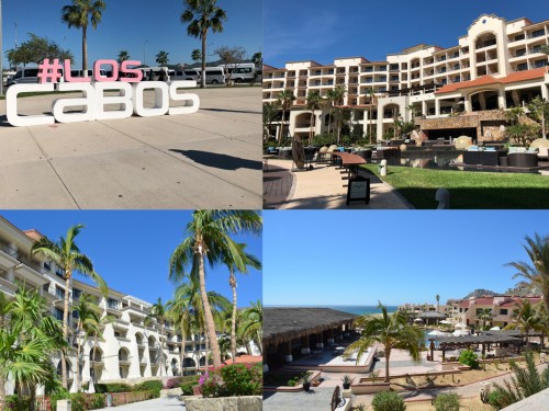 ACV MegaFAM brings agents to Los Cabos