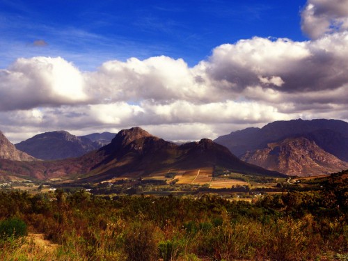 SAA Vacations offering free two-night stay in winelands