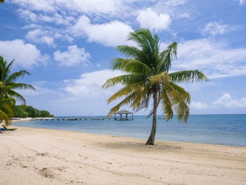 Agents can earn on Roatan and La Ceiba bookings with Sunwing