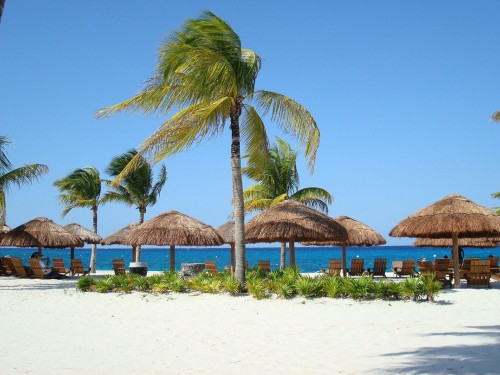 CHTA: holiday season bookings point to strong Q1 for 2018