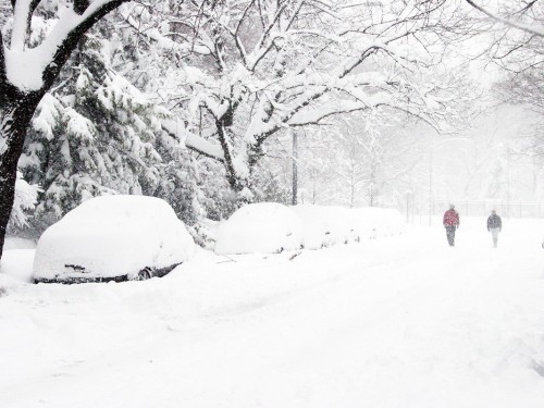 Winter weather causing travel chaos in eastern U.S.