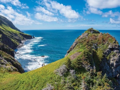 Porter's Stephenville service to double in 2018