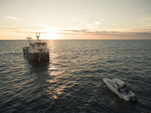 SeaWorld, OCEARCH launch partnership