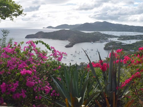 Antigua & Barbuda recognizes 6 Canadian agents