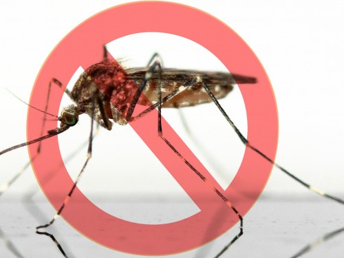 CDC officially declares Bahamas Zika free