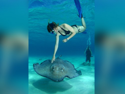 Canadians can save in the Cayman Islands this summer