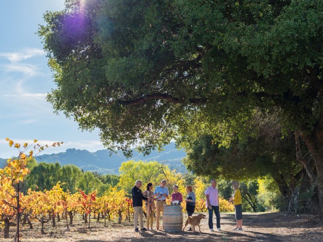 Insight releases new 2019  USA & Canada Premium Escorted Journeys